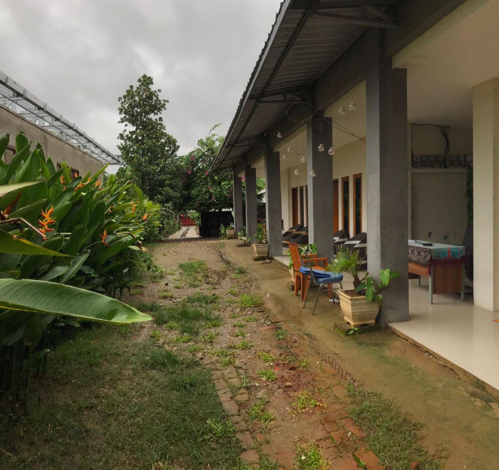 Wl Guesthouse Labuan Bajo Zimmer foto